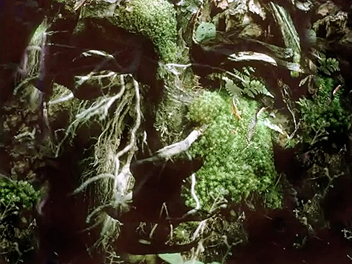 Cathedral Oceans III 0035