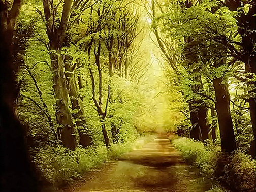 Cathedral Oceans III 0041