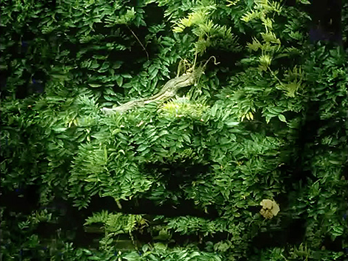 Cathedral Oceans III 0050