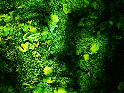 Cathedral Oceans III 0058