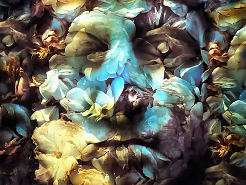 Cathedral Oceans III 0071